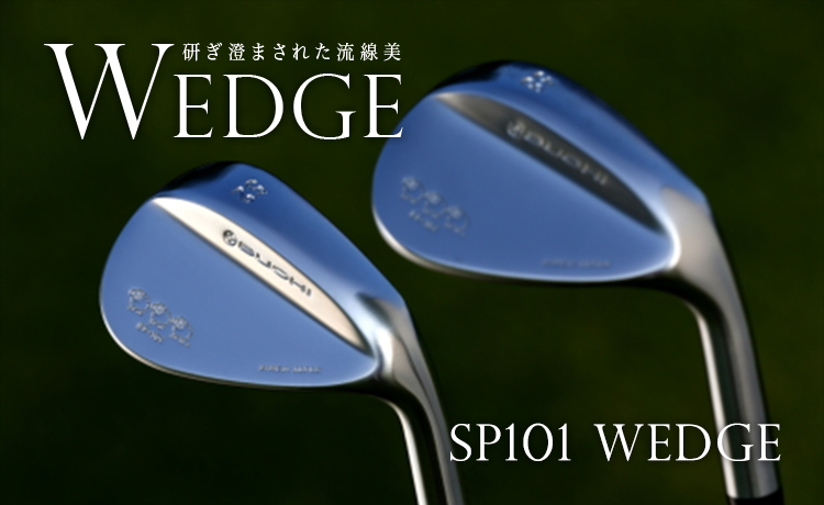 BUCHI SP101 WEDGE