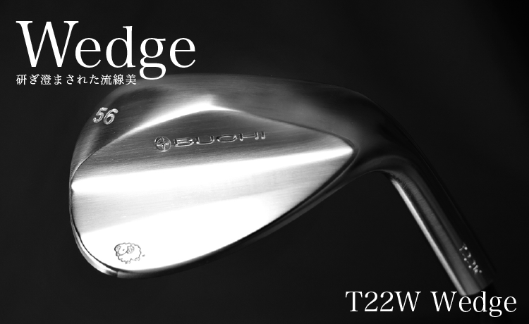 T22W WEDGE