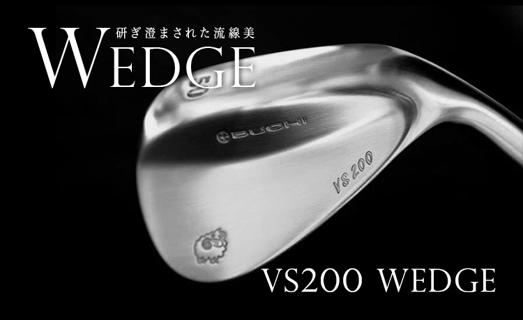 BUCHI VS200 WEDGE